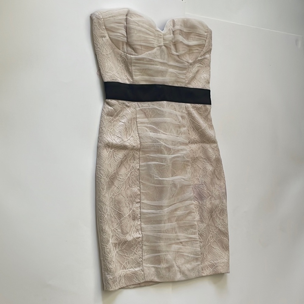 Shirred lace bustier dress